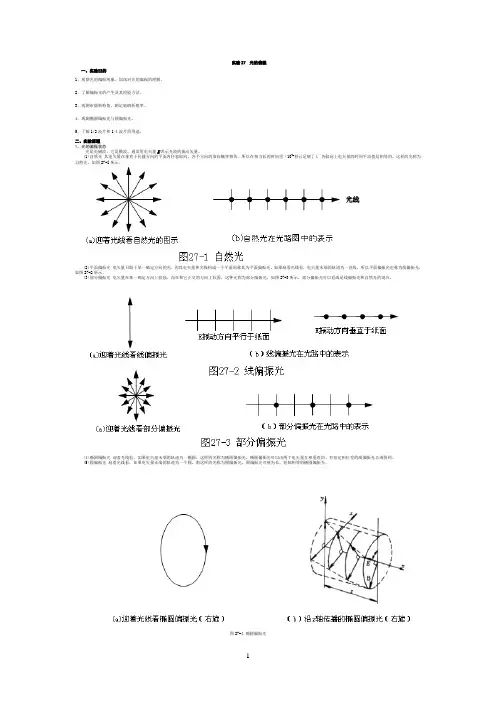大学物理实验- 光的偏振