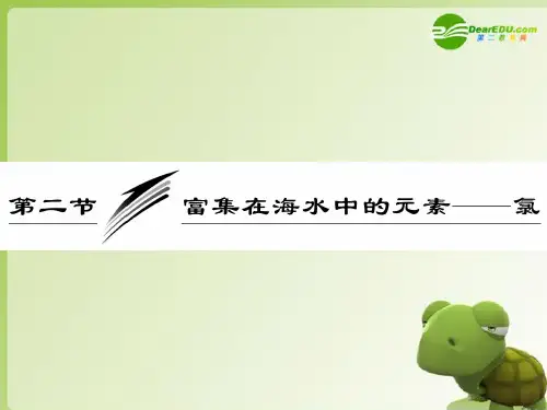 《直击高考化学》 4.2《富集在海水中的元素氯》课件 新人教版