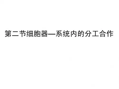 1.3.2细胞器——系统内的分工合作