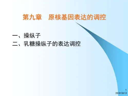乳糖操纵子
