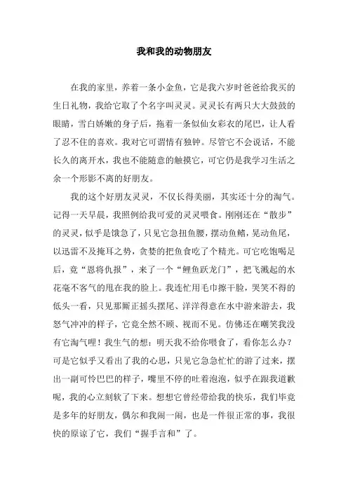 我和我的动物朋友