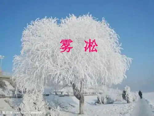 《雾凇》第二课时