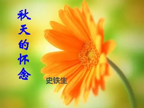 《秋天的怀念》ppt课件