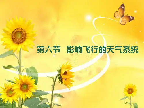 第六节 影响飞行的天气系统