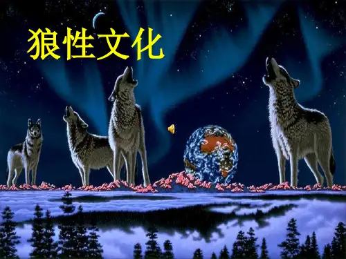 狼性文化(完整版)