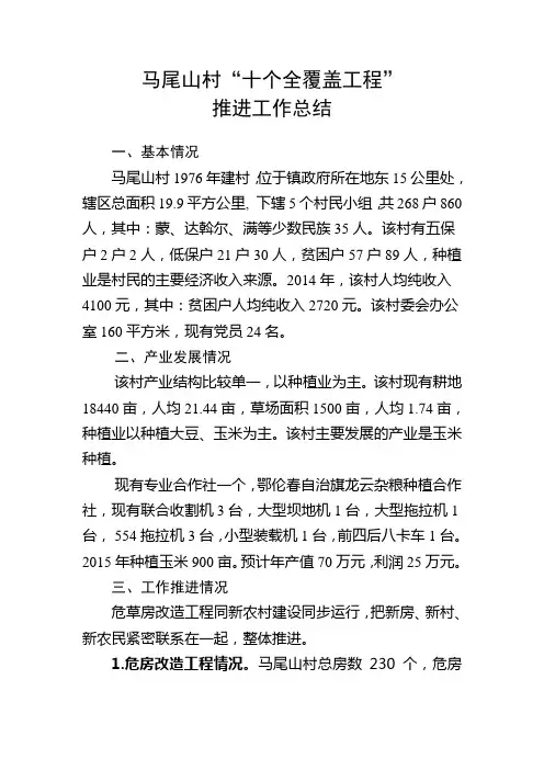 “十个全覆盖工程”总结