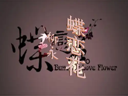 蝶恋花-柳永 PPt