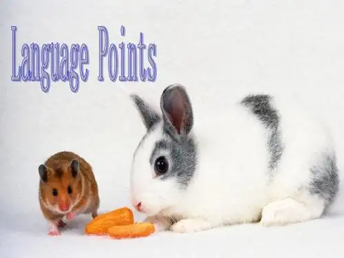 外研版英语 必修三 module3 language points
