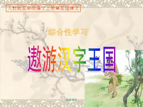 人教版五年级语文上册第五组《遨游汉字王国》