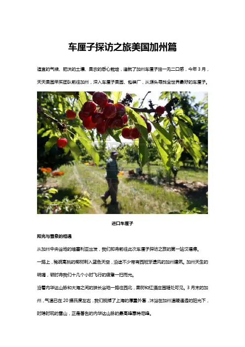 车厘子探访之旅美国加州篇