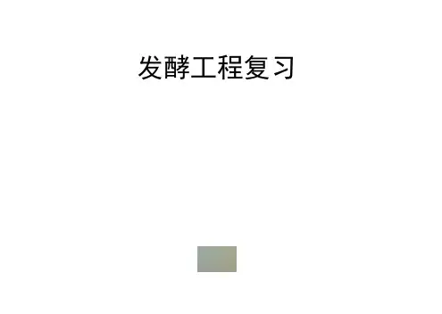 发酵工程复习