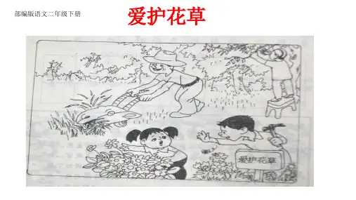 部编版语文二年级下册二年级看图写话集(完整版有例文)