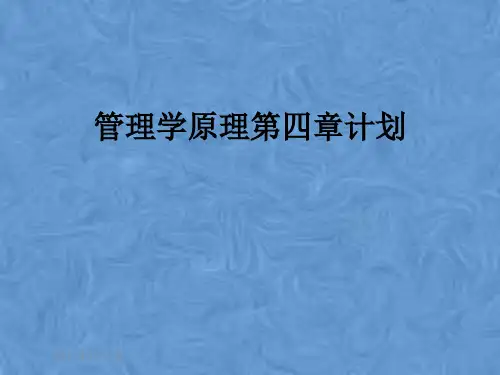 管理学原理第四章计划