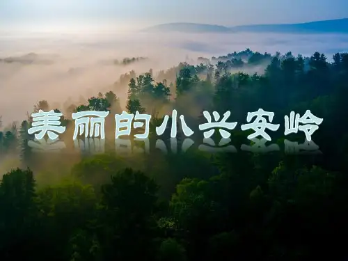 人教部编版美丽的小兴安岭课件详解-PPT3