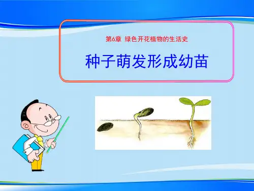 《种子萌发形成幼苗》PPT课件【推荐下载课件】