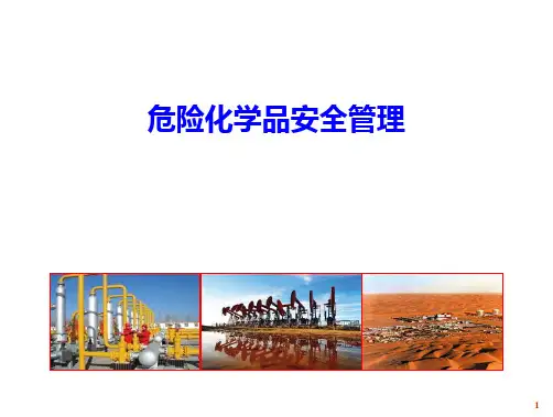 危险化学品安全管理.pptx