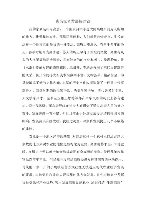 我为家乡发展提建议