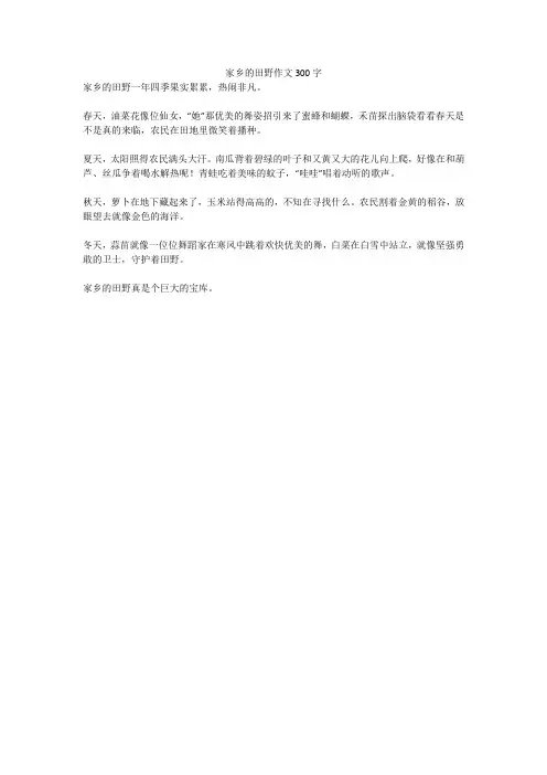 家乡的田野优秀作文300字