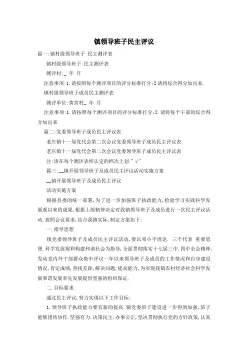 镇领导班子民主评议