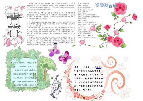 电子板报(青春)