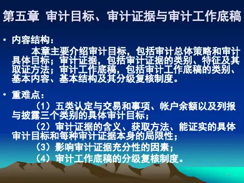 审计5