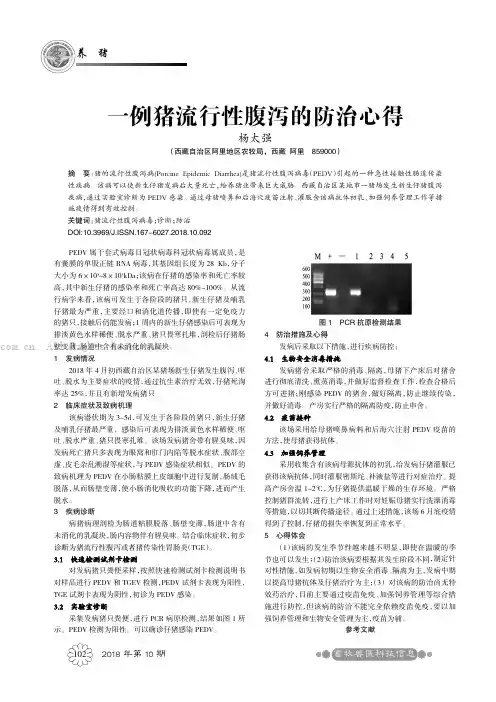 一例猪流行性腹泻的防治心得
