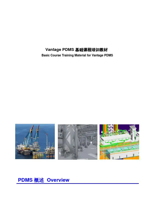 PDMS_01(PDMS概述)