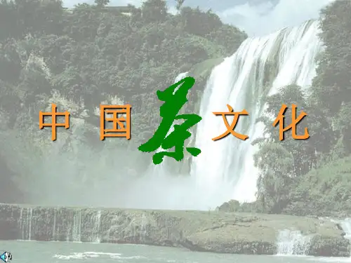 中国茶文化--第一章