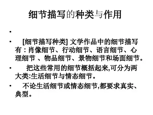 细节描写的种类与