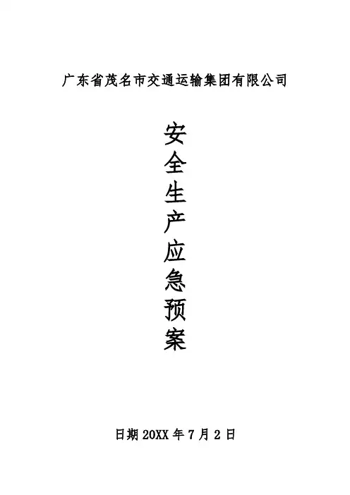 应急预案-集团公司安全生产应急预案 精品