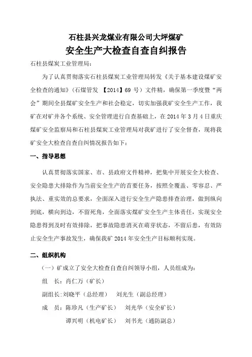 安全生产大检查自查自纠报告[1]