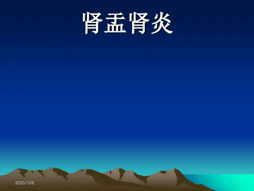 肾盂肾炎-病理学精品PPT教学课件