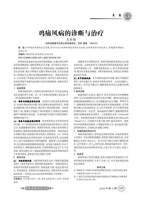 鸡痛风病的诊断与治疗