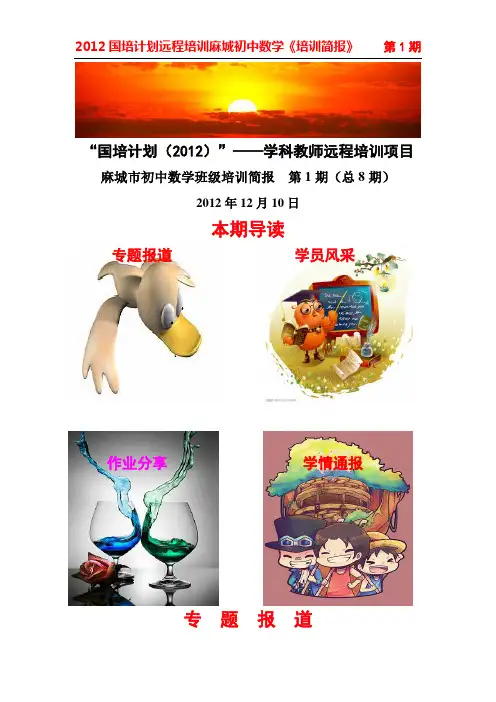 麻城初中数学培训简报(第一期)