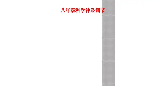 八年级科学神经调节