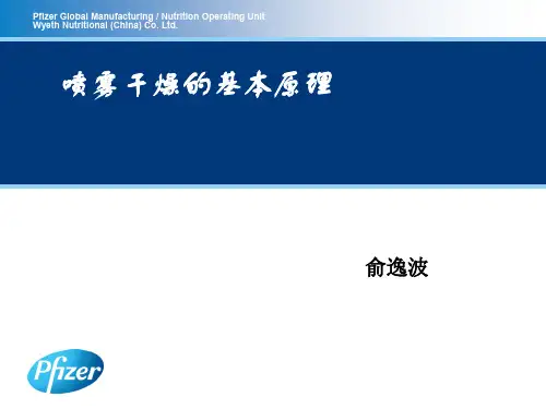 喷雾干燥的基本原理PPT课件