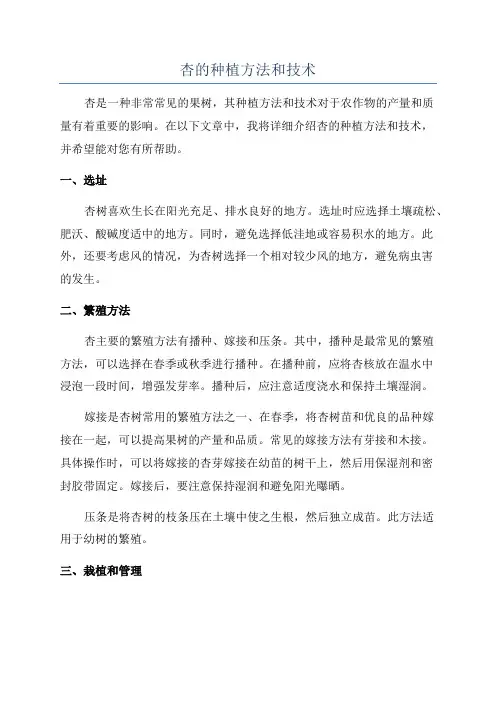 杏的种植方法和技术