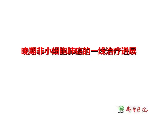晚期非小细胞肺癌的一线治疗进展