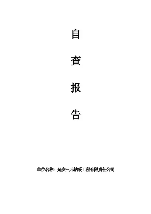 钻井行业自查报告