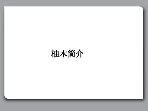 柚木简介