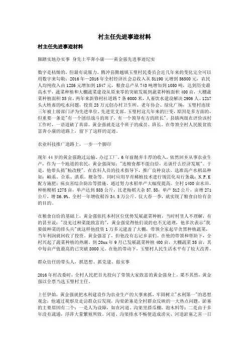 村主任先进事迹材料