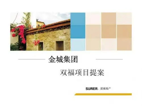 2010年重庆金城集团双福项目提案