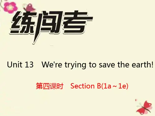 九年级英语全册 Unit 13 We're trying to save the earth(第4课时)Section B(1a-1e)课件