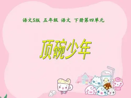 顶碗少年》课件