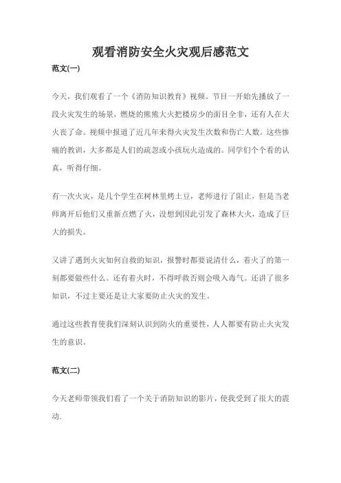 观看消防安全火灾观后感范文 2