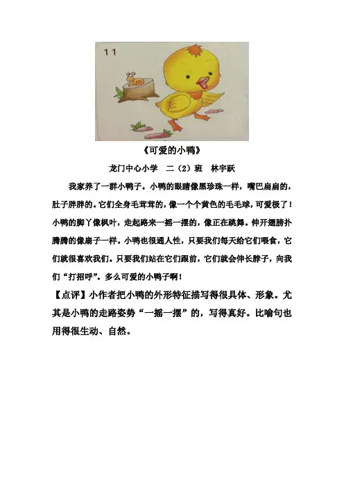 二(2)看图写话