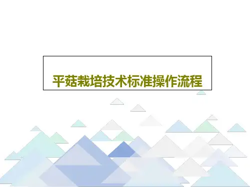 平菇栽培技术标准操作流程78页PPT