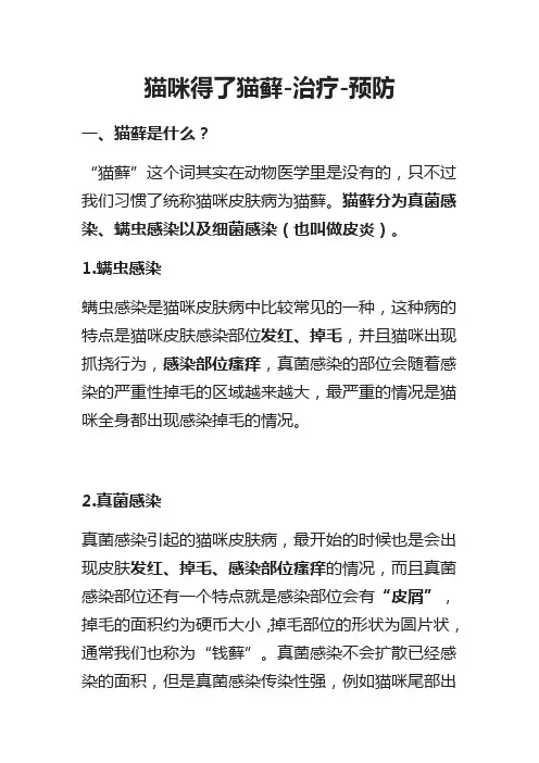 [全]猫咪得了猫藓-治疗-预防