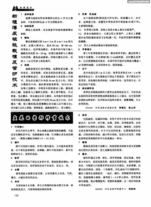 盆花的整形修剪技术