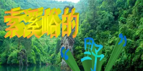 鲁教版小学语文五年级上册索溪峪的野PPT课件